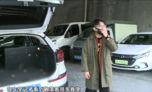 广州 租车开了一天总闻到异味,竟是后尾箱有粪便