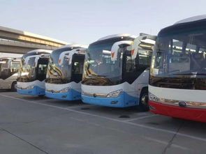 2019 重庆到 沭阳大巴 每日多班