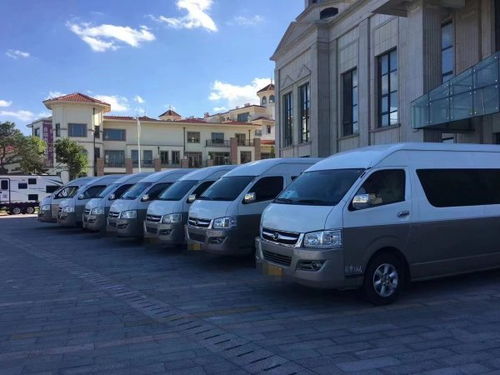 公司常年出租5 50座各种车型